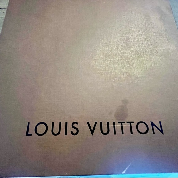 AUTHENTIC MONOGRAM LOUIS VUITTON SHAWL - Picture 5 of 6